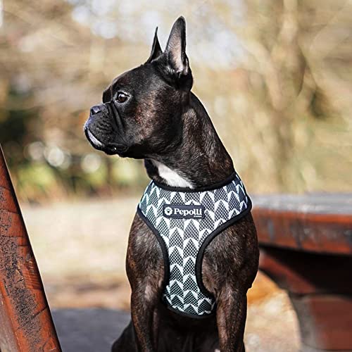 Pepolli Hundegeschirr verstellbar | Geschirr für Franz. Bulldogge, Frenchie, Frenchbulldog, Mops (M (Hals 37–40 cm, Brust 51–71 cm)