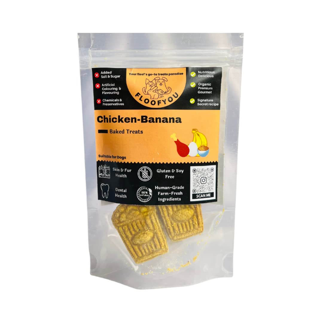 FloofYou Chicken Banana Cookies Natural Healthy Dog Treat Biscuits Snacks (B0C3P25WNB) Amazon Price History, Amazon Price Tracker