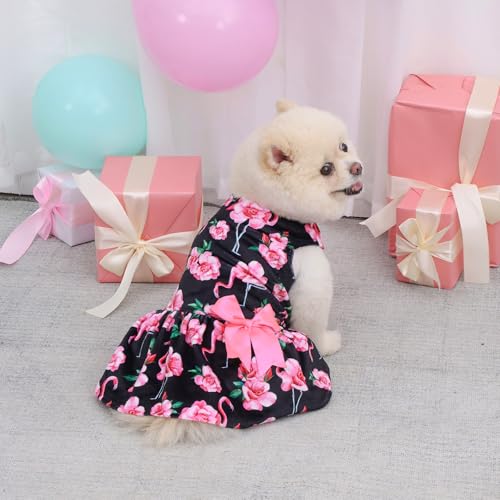 Robe en velours pour petits chiens CuteBone NCVA11XS - 8
