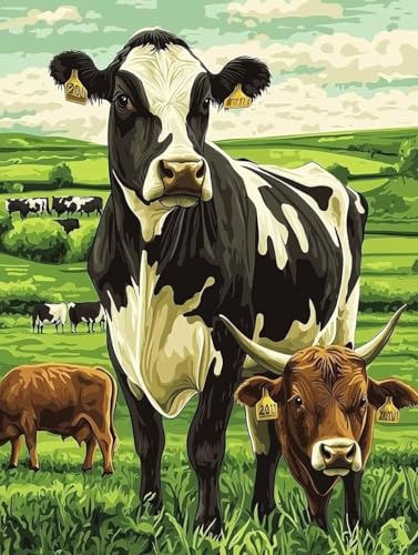 yCgoCio[Lbg iGLbg lphGLoXNtg A[guVƃANG̋ DIYGoCH| |ph S qp ƒ̕Ǒ (t[) 40x50cm A-26