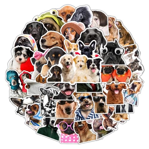 Must-Have Products for Dog Water Bottle Stickers on Amazon