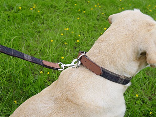 Rosewood 04113 Luxus-Hundehalsband aus Leder für einen Halsumfang von 31-41 cm, Schottenkaro-Tweed