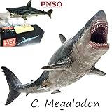 PNSO Megalodon Prehistoric Sharks Model Toy Scientific Art Dinosaurs Figure
