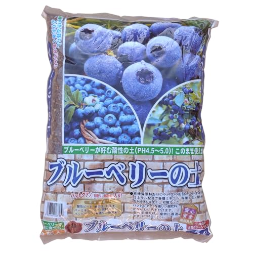 {O[T[rX |p|{y u[x[̓y 5L