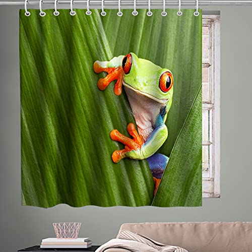 Kntiline Funny Animal Shower Curtain Red Eyed Tree Frog Hiding In Exotic Macro Leaf Theme Fabric Bathroom Decor Sets With Hooks Waterproof Washable 72W X 72H #TOP2