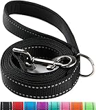 SUNNQ 6FT Reflective Dog Leash for Medium and Large Dogs with Soft Padded Handle, Double-Side Reflec