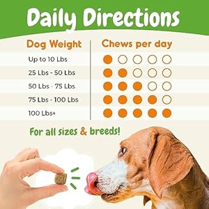 Probiotics for Dogs – Digestive Enzymes for Gut Health, Diarrhea & Bowel Support, Seasonal Allergies, Dog Supplement for Pet Immune System, Dog Vitamin – 120 Soft Chews – Chicken