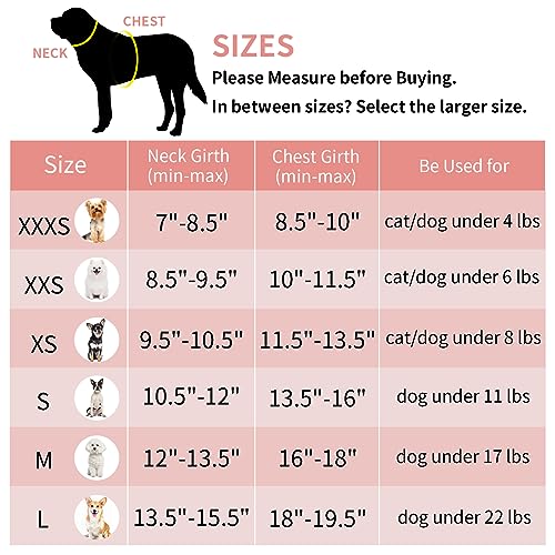 AIITLE Hundegeschirr und Leine Set, Schritt in einstellbaren Hundegeschirr mit gepolsterter Weste für alle Wetter, reflektierende Haustiergeschirr, einfach auf kleine Hunde setzen Braun-Beige S