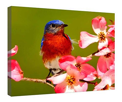 Toile oiseau arbre en fleurs prête à suspendre sans cadre à acheter