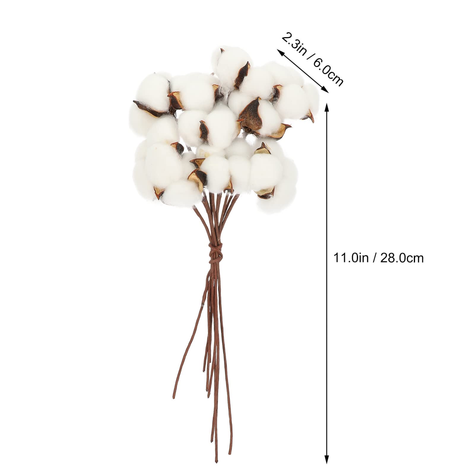Cabilock 5 Ensembles Bouquet Coton Sec Fausses Fleurs en Mousse Tiges De Coton Séchées Fleur De Remplissage D'affichage Tiges Séchées Branche De Coton Coton Naturel