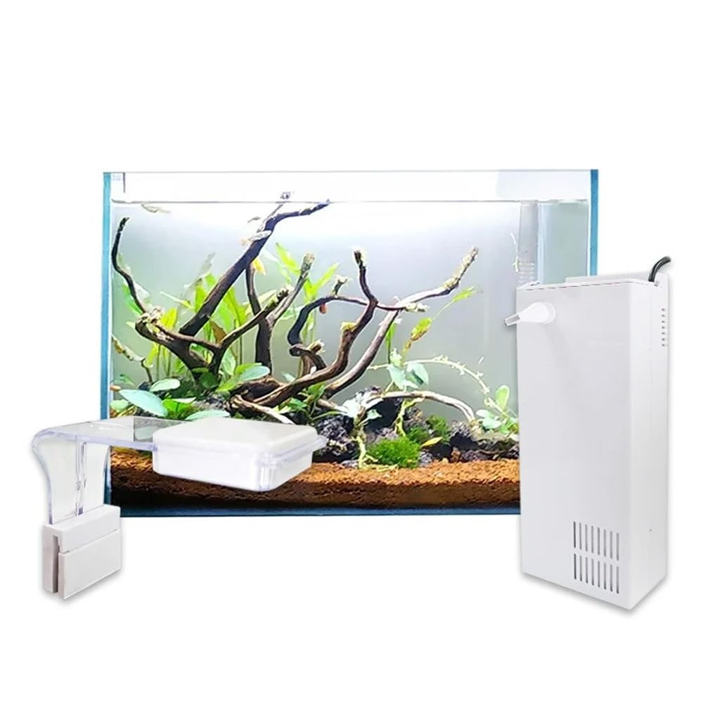Swell Glass Fish Tank Aquarium Pro Aquascaping Fish Tanks 30-60cm (30cm - 10.8L) LED Light & Filter