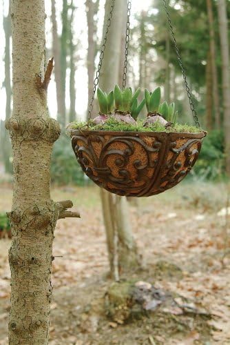 Fallen Fruits BPH29 Cast Iron Large Basket Bracket, Brown