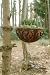 Esschert Design Haken für Hanging Basket, Wandhalterung für Hängekörbe, Befestigung für Hängeampeln,...