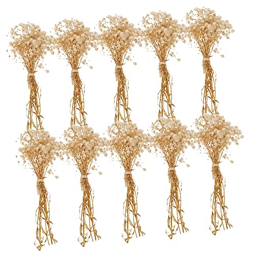 Ramo seco de flores Gypsophila natural para decoración miniatura 7