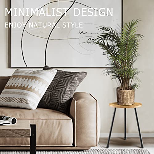 KINNARY Indoor Plant Stand, Mid Century Wood Plant Stand Plant Table for Flower Pots, Tall Metal Plant Holder, Modern Home Decor Small Round Side End Table (11.8"x16") image 4