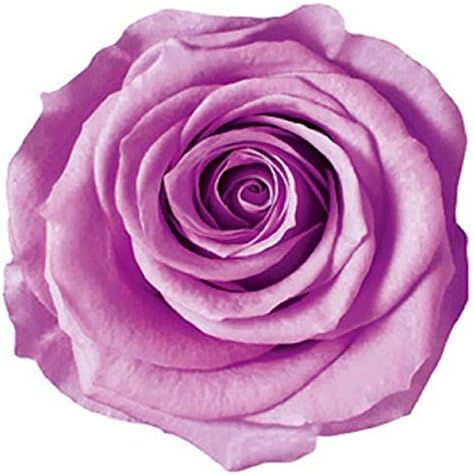 Millennium Art Lilac Vermei INES Mini 9 Circular