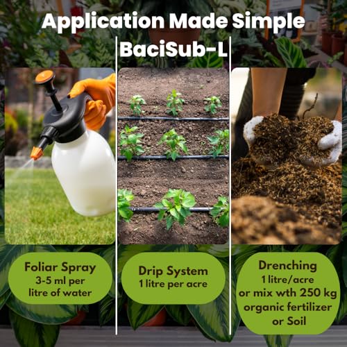 Image of Utkarsh Bacillus Subtilis Biofungicide for Plants | Beneficial Microbes for Root Zone & Soil | Helps Protect from Fungal Diseases | For Home Garden, Terrace & Farms | BaciSub-L (250 ml; Pack of 1)