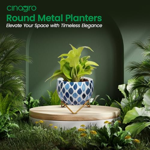 Image of CINAGRO Metal Flower Vase Planter Pot with Iron Stand, Pots for Plants, Plant Pots for Home Decoration, Succulent Pot, Indoor Planter Garden Decor (Size: 6X6 inch) Style: Seaside Serenity