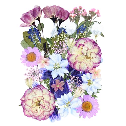 35 piezas flores secas prensadas para manualidades miniatura 1