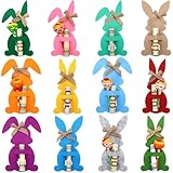 DTOFOOT Ostern Geldgeschenke Verpackung,12 Stück Hasen Filz Geldklammern Ostern Geschenk für Erwachsene Osterhasen Geldgeschenk Hüllen Osterdekorationen