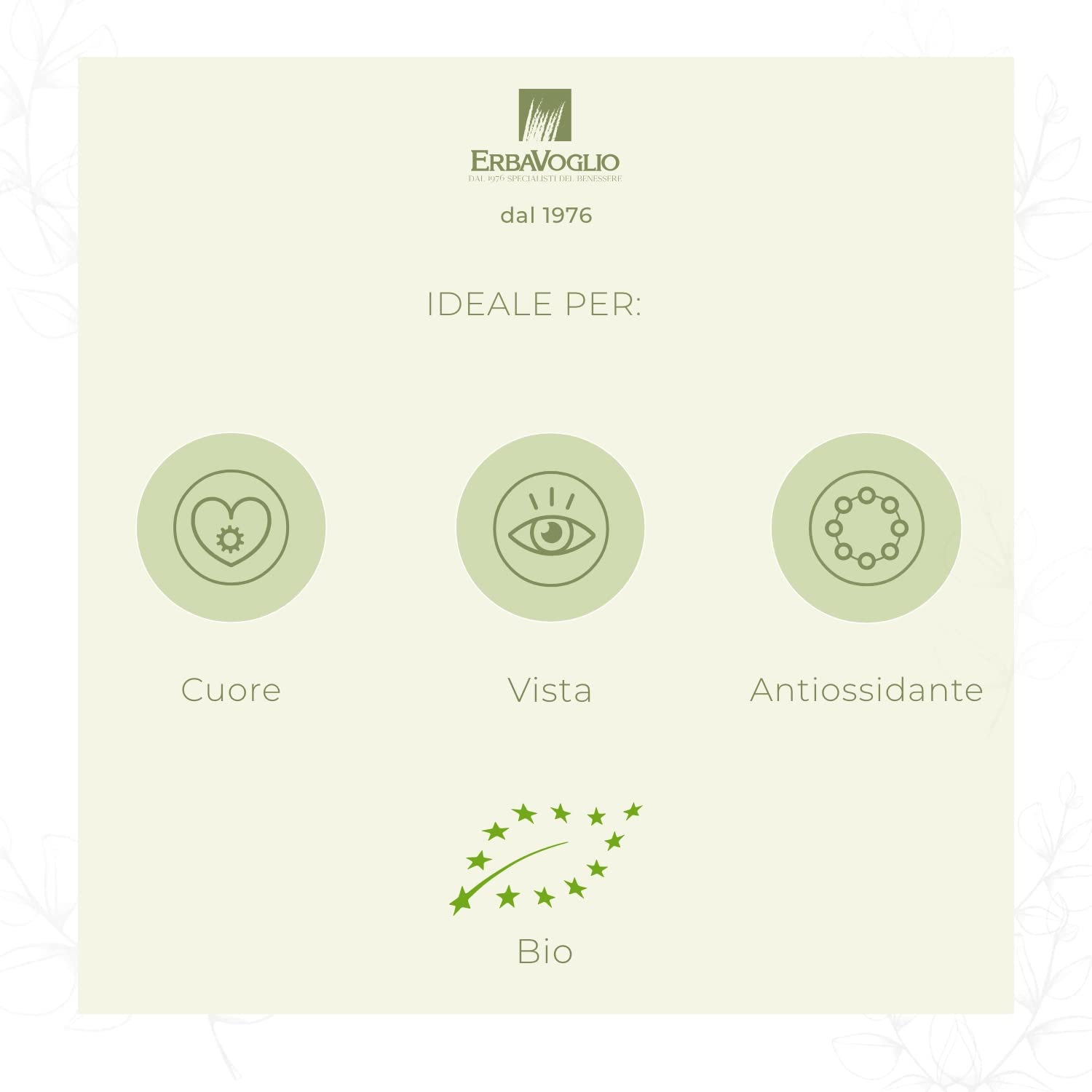 Erbavoglio Mirtilli Rossi Bio - 500 g - Alimento biologico - Antiossidanti protettivi per vie urinarie, infiammazione, cuore e difese naturali.