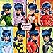 Miraculous Ladybug Magic Heroez Transformation Surprise - Wave 1