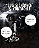 Rudelkönig Hundegeschirr Paola - Reflektierendes Brustgeschirr mit Haltegriff - Geschirr Hund mittel in Y-Design - Verstellbares Hundegeschirr mittelgroße Hunde