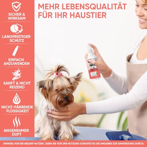 Floh & Zeckenschutz für Hunde & Katzen - Floh & Zeckenspray - Natürliches Flohmittel für Wohnung & Möbel - 500ml Zeckenschutz mit Pfefferminz & Rizinusöl - Flohspray - Anti Milben Spray - animigo