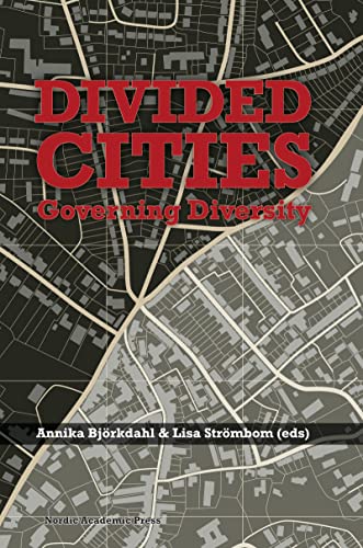 Divided Cities: Governing Diversity view 2