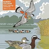 Adult Jigsaw Puzzle Robert Gillmor: Ducks, Falcons and Lapwings: 1000-Piece Jigsaw Puzzles
