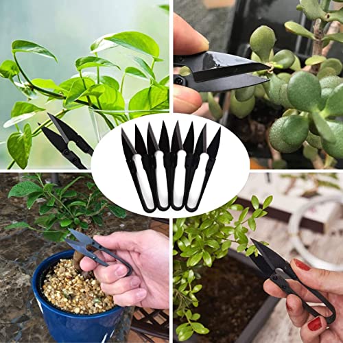 Sago Brothers Bonsai Pruning Scissors, Pruning Shears For Bud And Leaves Trimmer 12 Pcs, Garden Shears For Plants, Gardening Clippers For Flower, Steel Bud And Bonsai Trimming Pruners Trimmers #TOP5