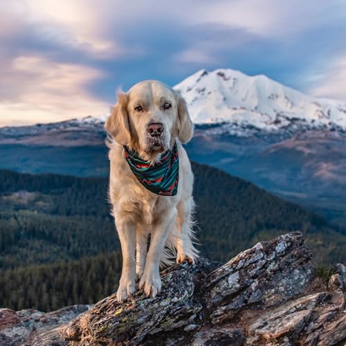 Image of Wilderdog Dog Bandana with Lightweight Quick Drying Poly-Blend Mesh Material in Olive