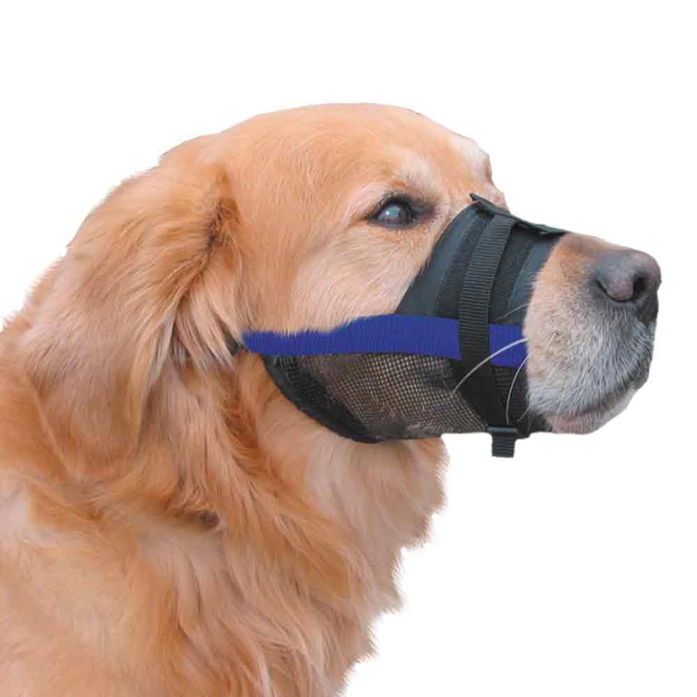 Nobby 51976 Muzzle Adjustable Blue Size 4