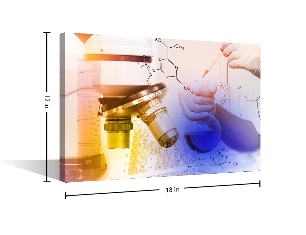 Image of TUMOVO Canvas Wall Art Medical Examination Poster Canvas Paintings Wall Art 1 Panel Medical Wall Decor for Living Room, Bedroom, Bathroom, Office. Framed Ready to Hang (12 inch Wx18 H)