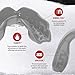 SafeJawz Elements Rock Dual Layer Mouthguard with Case, Adult and Junior Mouth Guard for Boxing, Basketball, Lacrosse, Football, Martial Arts, Hockey and All Contact Sports (Adult 12+ Years, Gray)