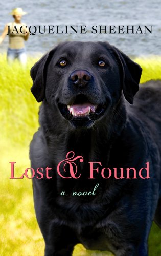 Lost & Found view 2