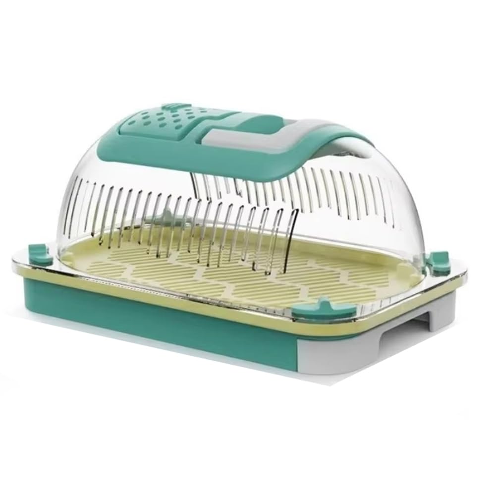 Qeunrtiy Portable Insect Breeding Box Ideal for Reptiles, Silkworms Observation Carrying Case