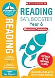 catch-up reading activities for ages 10-11 (year 6). for children who need additional support includes teacher book, pupils workbook and practice tests (national curriculum sats booster programme)