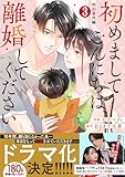 comic Berry’s初めましてこんにちは、離婚してください番外編3巻 (Berry's COMICS)