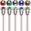 Multicolored AC/DC 12-24V