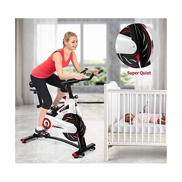 Exercise Bike Stationary, CHAOKE Indoor Cycling Bike with Heavy Flywheel, Comfortable Seat Cushion, Silent Belt Drive, LCD Monitor for Home Gym Cardio Workout Training