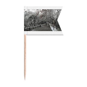 Snow View Road Photography Toothpick Flags Labeling Marking for Party Cake Food Cheeseplate