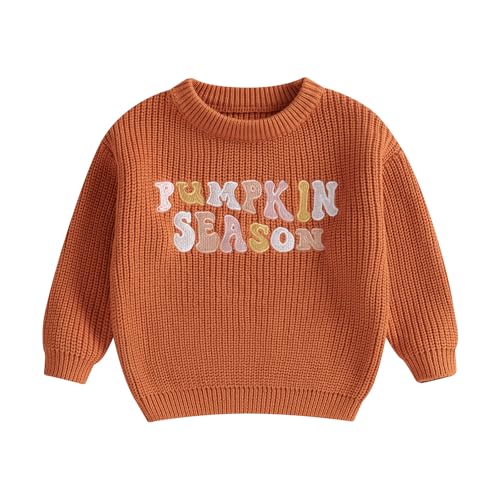toddler knit sweater pullover blouse pumpkin sweater baby girl boy winter fall clothes