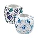 Alva Baby Boys & Girls Swim Diapers One Size Reuseable Adjustable 2pcs SW05-06