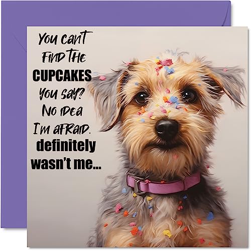 Divertidas tarjetas de cumpleaños para mujeres y hombres, The Cake Thief, tarjeta de feliz cumpleaños para mamá, papá, hermano, hermana, hijo, hija, abuela, abuelo, tía, tío, 145 mm x 145 mm, tarjetas