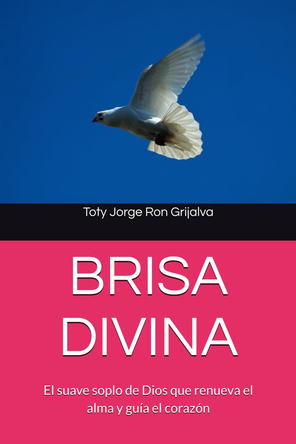 BRISA DIVINA: El suave soplo de Dios que renueva el alma y guía el corazón (Colección Camino de Oración)