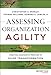 Assessing Organization Agility: Creating Diagnostic Profiles to Guide Transformation (J-B Short Format Series)
