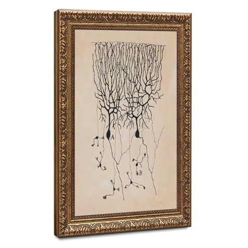 Toile vintage Neurone Santiago Ramon Y Cajal cadre bois