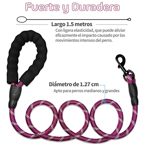 Mascotas, Pet Products Imagen adicional