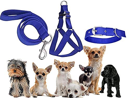 RvPaws Small Dog Puppy Harness Adjustable, Belt and Collar Combo Set (Waterproof, Nylon) (Blue, Small) (B09GKT8DXG) Amazon Price History, Amazon Price Tracker